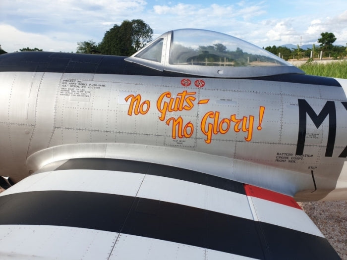 CARF P-47 Bubble Top 1:4.5 Thunderbolt from CARF Models