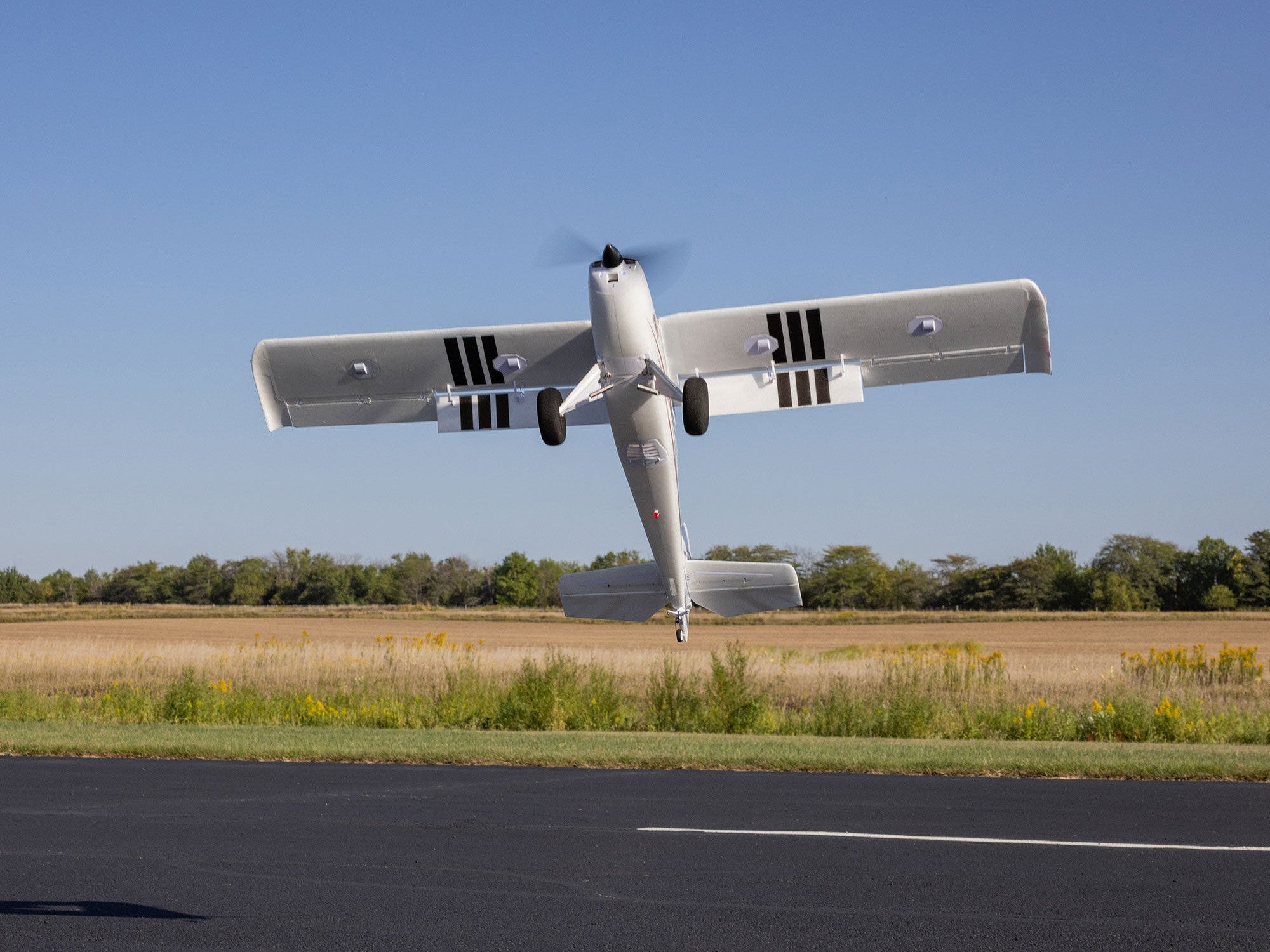 E-Flite Timber 1.5m 10th Anniversary Special Edition BNF Basic EFL-3352
