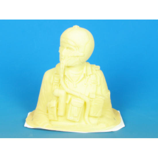 1/5 SCALE JET PILOT 5508286