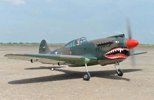 Black Horse P40C Tomahawk 60cc ARTF A-BH161