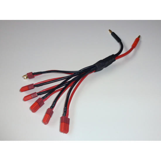 Parallel (x6) Deans Charge Lead 20111EF