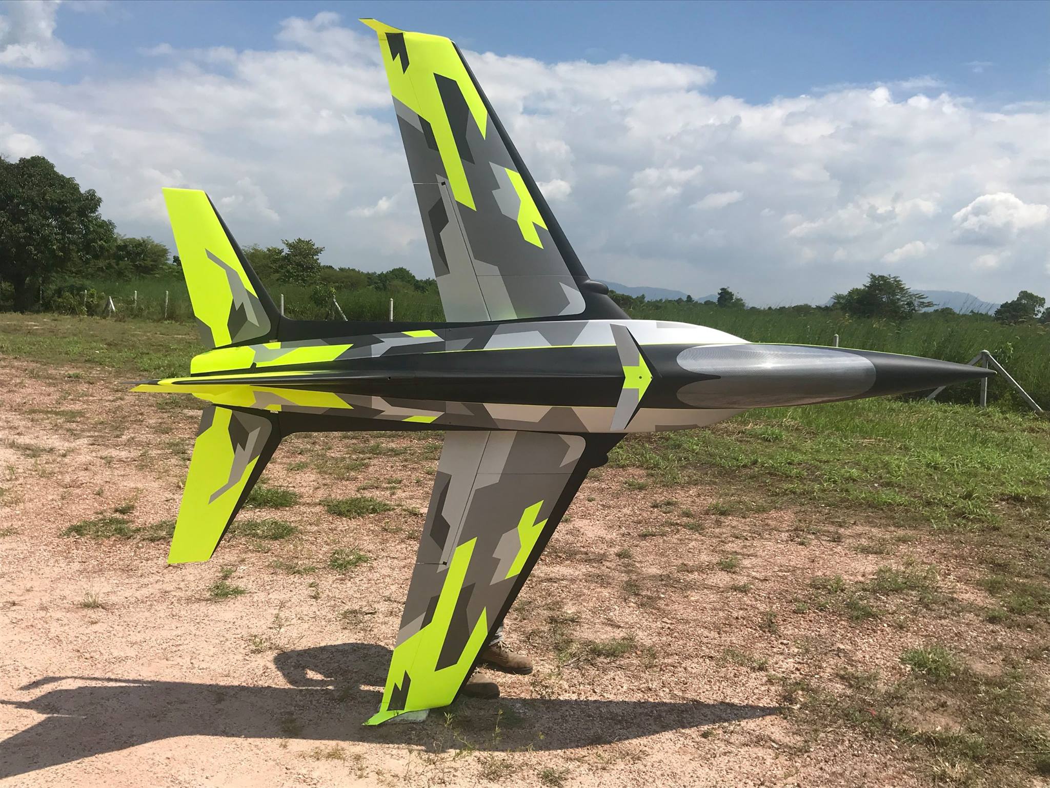 CARF Models Mephisto