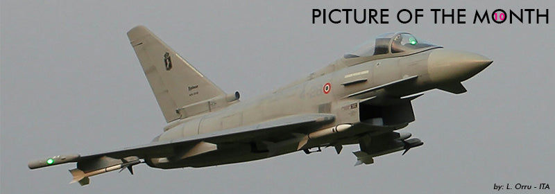 CARF Models Website link and information http://carf-models.com/en