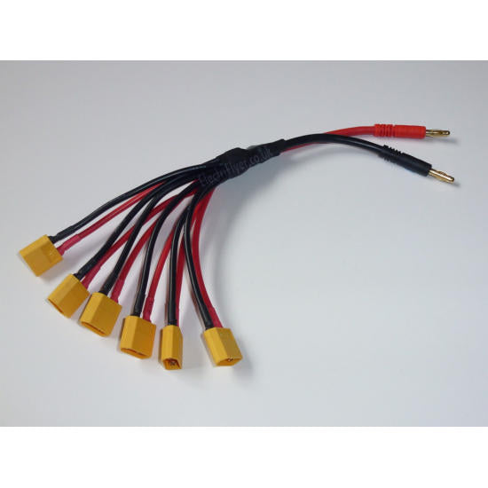Parallel (x6) XT60 Charge Lead