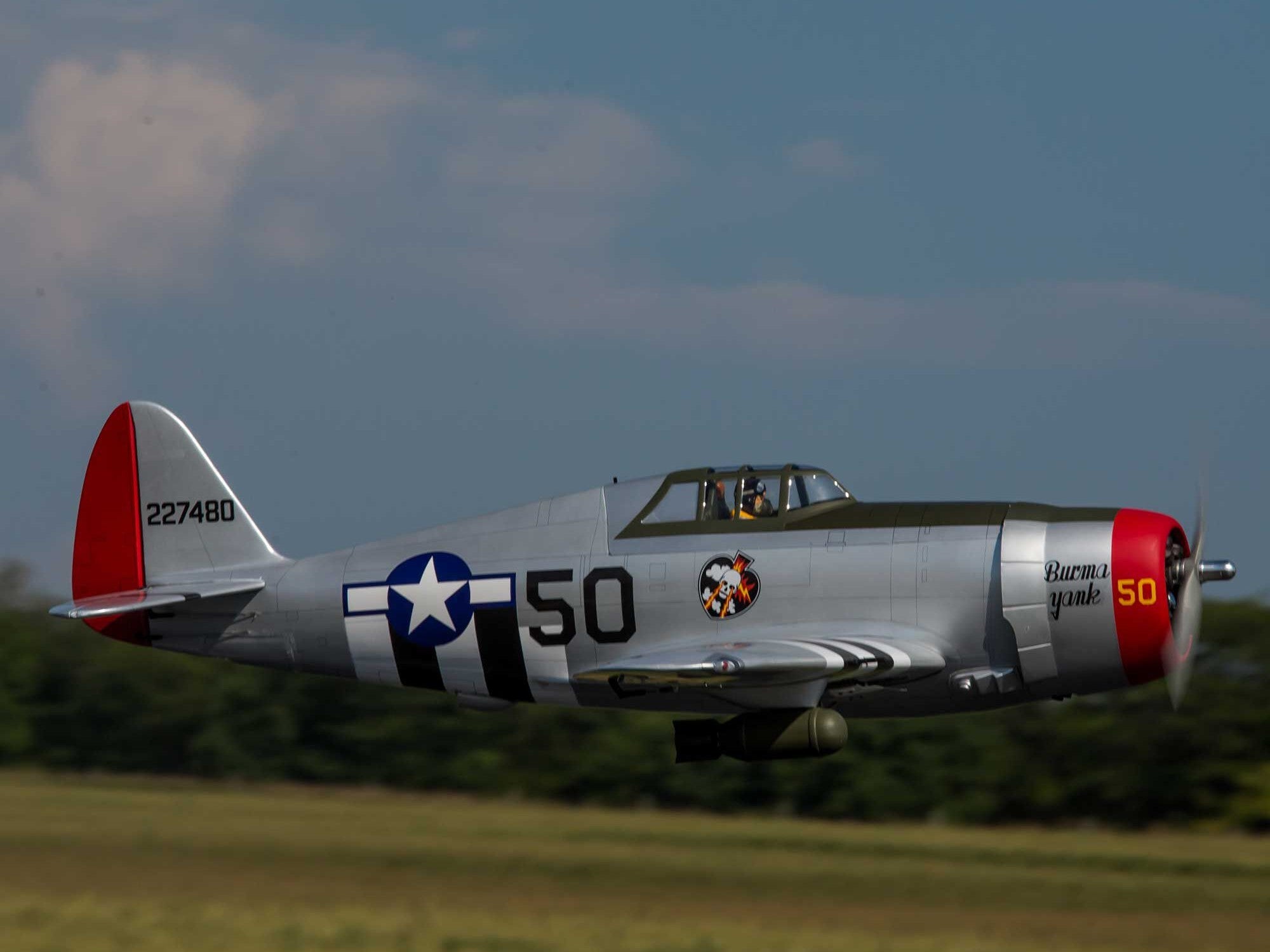 Hangar 9 P-47D Thunderbolt 20cc ARF 67" HAN2990B