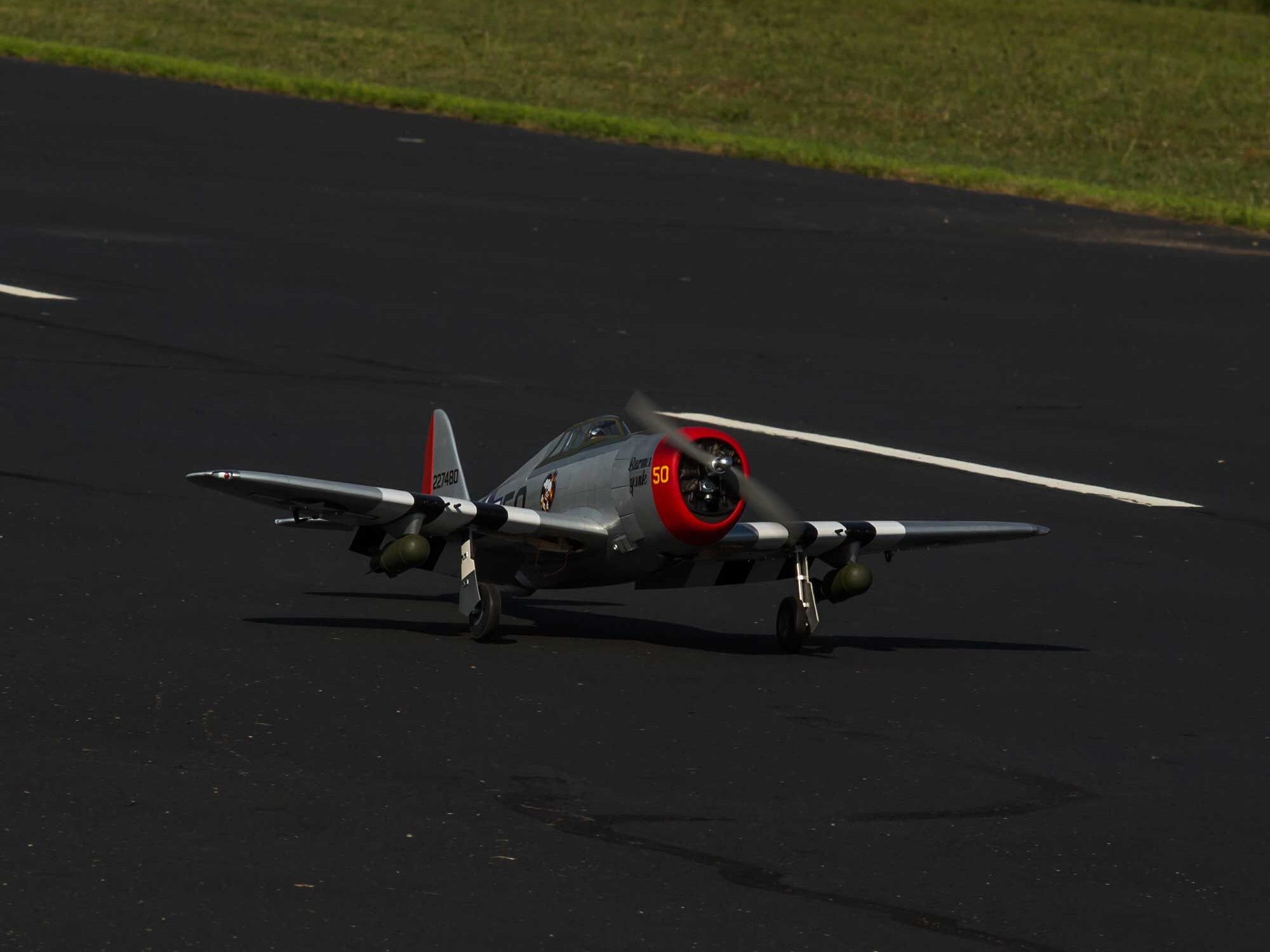 Hangar 9 P-47D Thunderbolt 20cc ARF 67" HAN2990B
