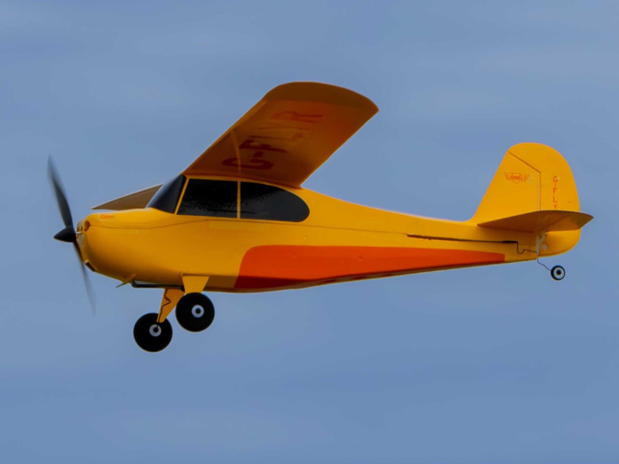 Hobbyzone Champ Anniversary Special Edition 515mm RTF with SAFE HBZ04900