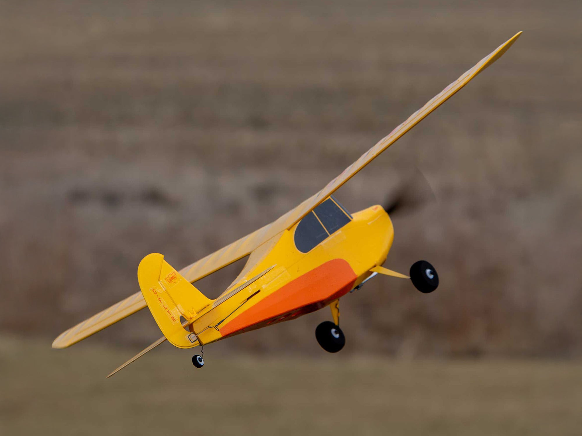 Hobbyzone Champ Anniversary Special Edition 515mm RTF with SAFE HBZ04900