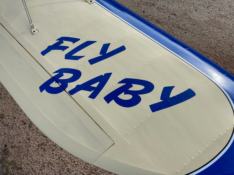 CARF Bowers FlyBaby 1:2