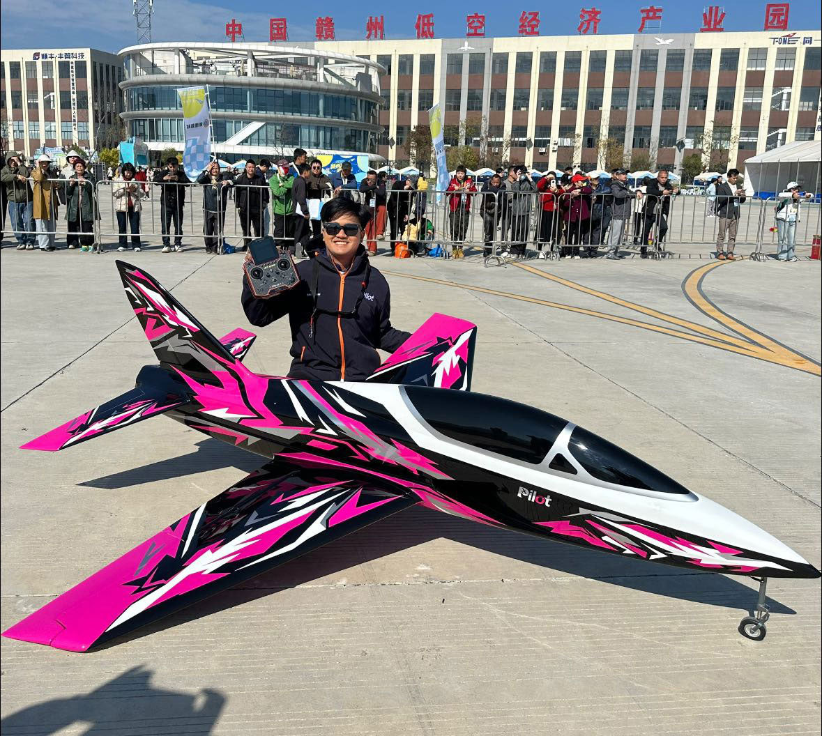 Pilot RC Matrix 2.4m (Retract Version) + Vector PIL888