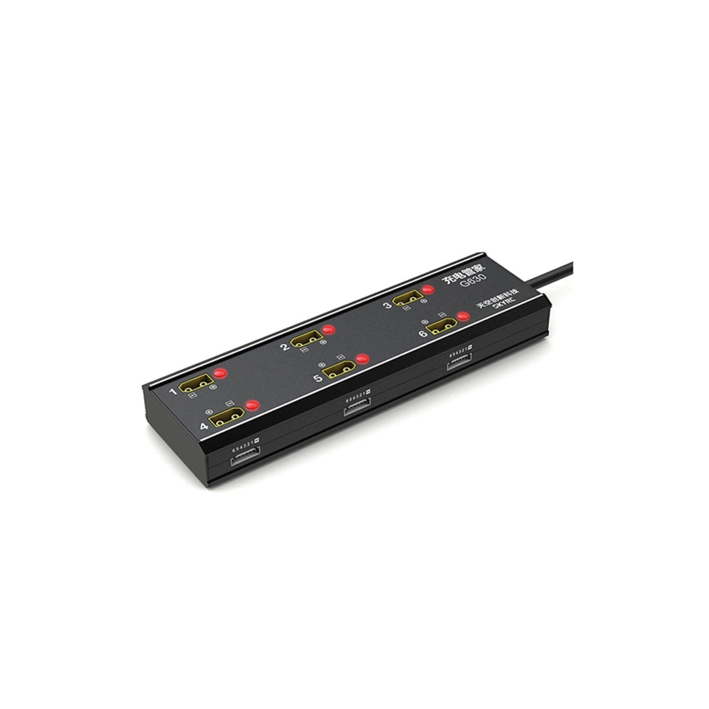 SKY RC G630 Charging Hub Idea with the PC1080C SK-600124