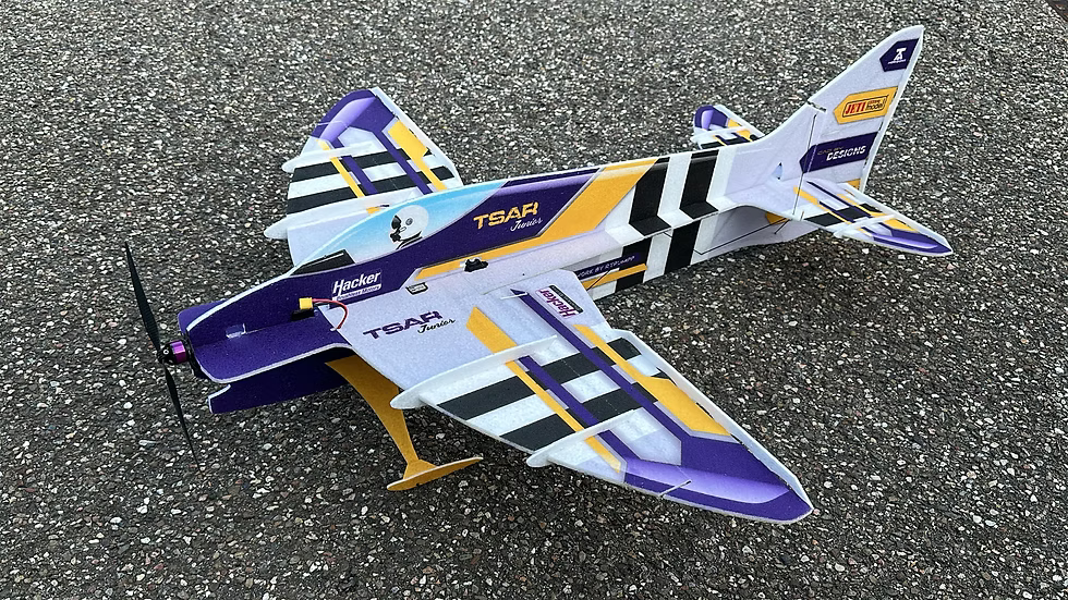 TA Horizons 33" TSAR Junior F3P EPP 3D - PNP Combo TAHJF3P