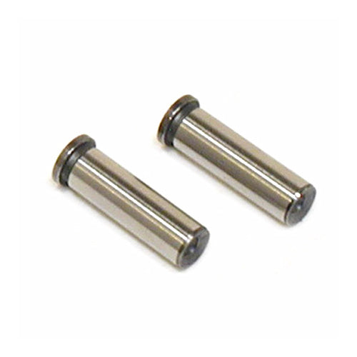 SAI120S38 - Tappet (2 pcs) SAI120S38