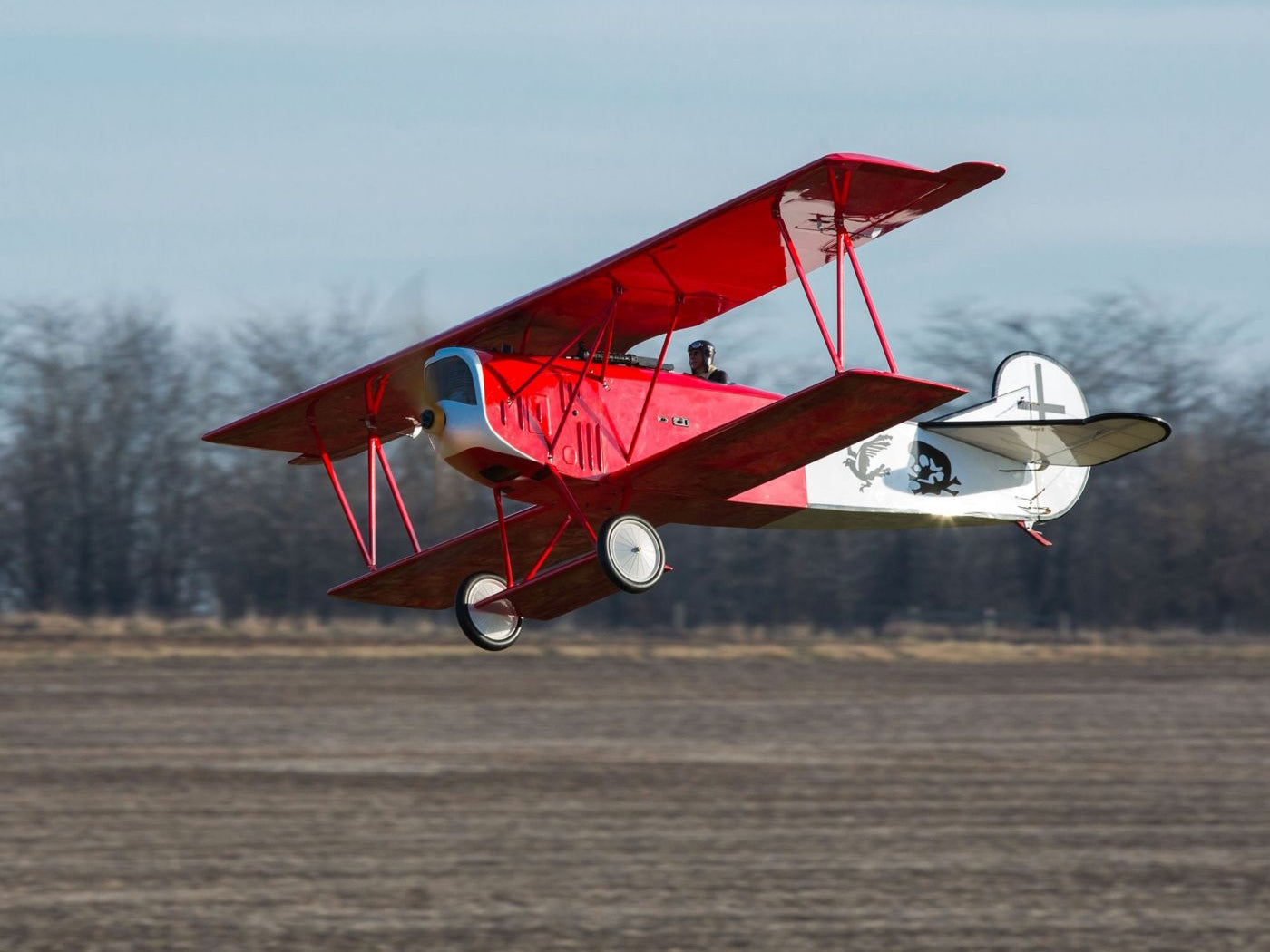 Hangar 9 Fokker D VII 30-60cc HAN2890